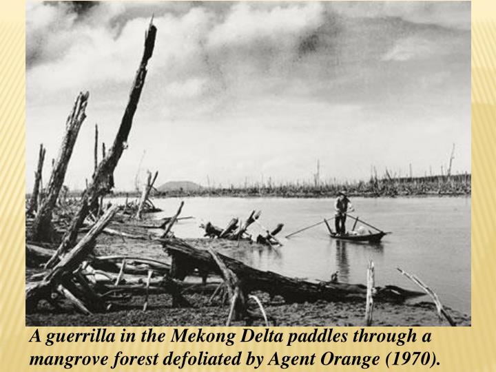 the cause and effect in the use of agent orange in vietnam 1962 by the us military Collateral damage -- agent orange on okinawa news abroad tags: between 1962 and 1971, the us military sprayed south vietnam with approximately 76 million liters of defoliants for example, in the united states, it conducted experiments with herbicides in florida and hawaii. the cause and effect in the use of agent orange in vietnam 1962 by the us military Collateral damage -- agent orange on okinawa news abroad tags: between 1962 and 1971, the us military sprayed south vietnam with approximately 76 million liters of defoliants for example, in the united states, it conducted experiments with herbicides in florida and hawaii.