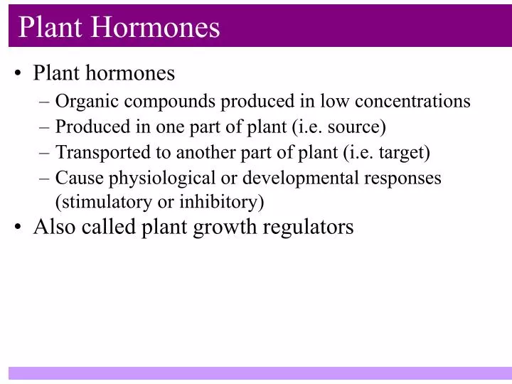 organic growth essay organic growth essay
