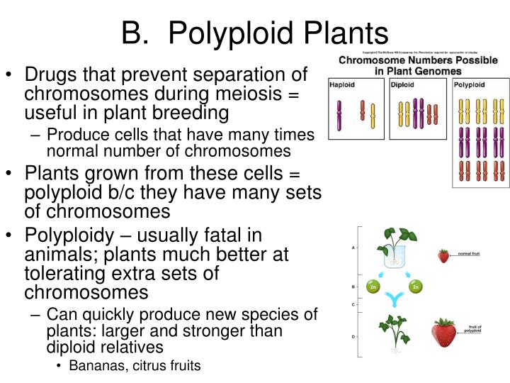 PPT Chapter 15 PowerPoint Presentation ID1397923