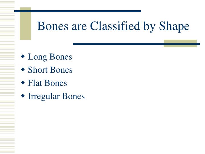 flat bones include all of the following examples, except ______. flat bones include all of the following examples, except ______.