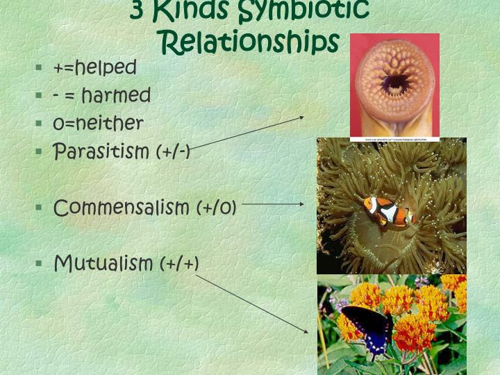 what are some types of symbiotic relationships