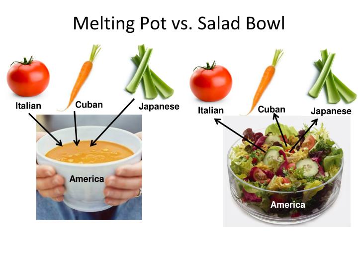 melting pot vs salad bowl theory