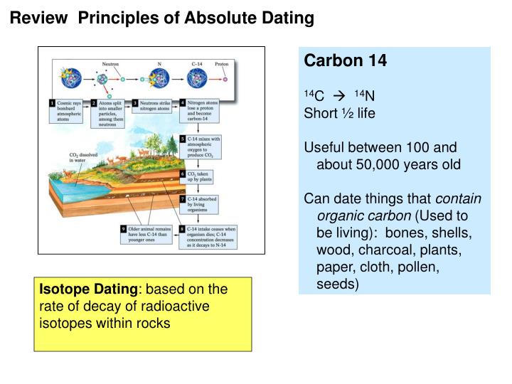 what are the principles of carbon dating what are the principles of carbon dating