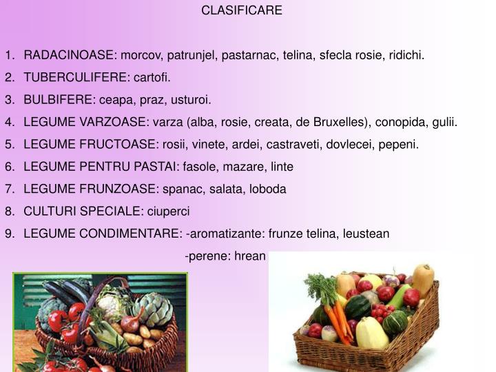 PPT  LEGUMELE PowerPoint Presentation  ID1427943