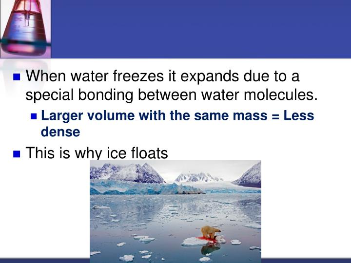Polar Ice Caps