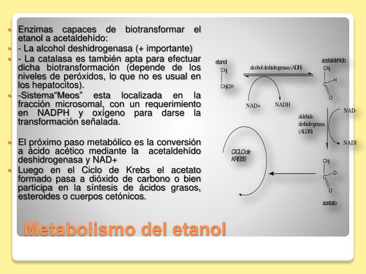 La clínica que cura la dependencia alcohólica en saratove