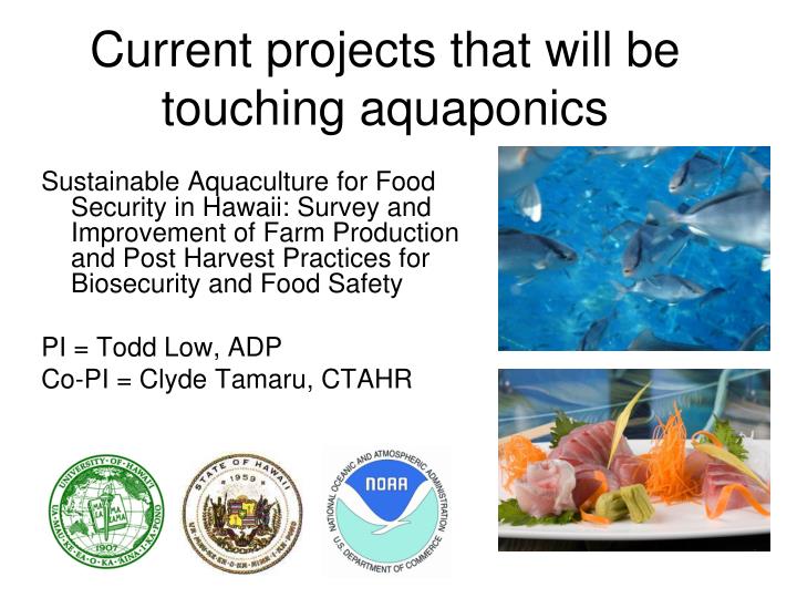 PPT - ADAPTING AQUAPONICS SYSTEMS FOR USE IN THE PACIFIC ...