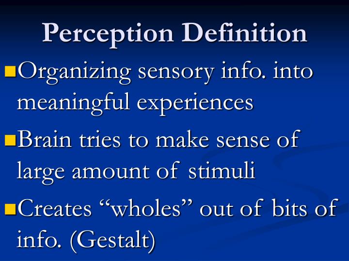 perception definition anatomy