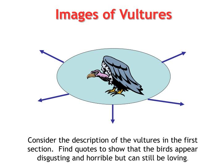 compare and contrast vultures by chinua Vultures chinua achebe chinua achebe chinua achebe was born in nigeria, west africa in 1931 do the actions of the vultures compare to the way contrast many . compare and contrast vultures by chinua Vultures chinua achebe chinua achebe chinua achebe was born in nigeria, west africa in 1931 do the actions of the vultures compare to the way contrast many .