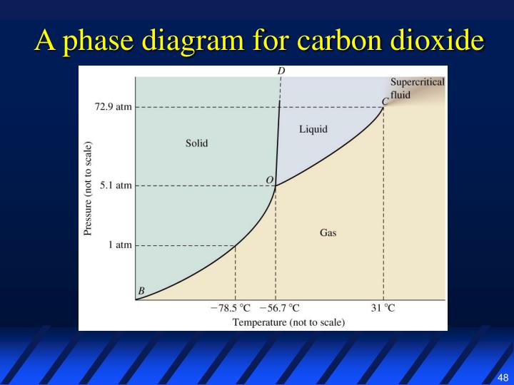 consider this phase diagram for carbon dioxide ppt liquids solids intermolecular forces powerpoint consider this phase diagram for carbon dioxide ppt liquids solids intermolecular forces powerpoint