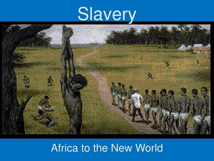 early african americans slavery impacts essay early african americans slavery impacts essay