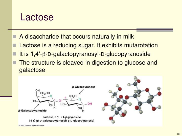 glucose and lactose glucose and lactose
