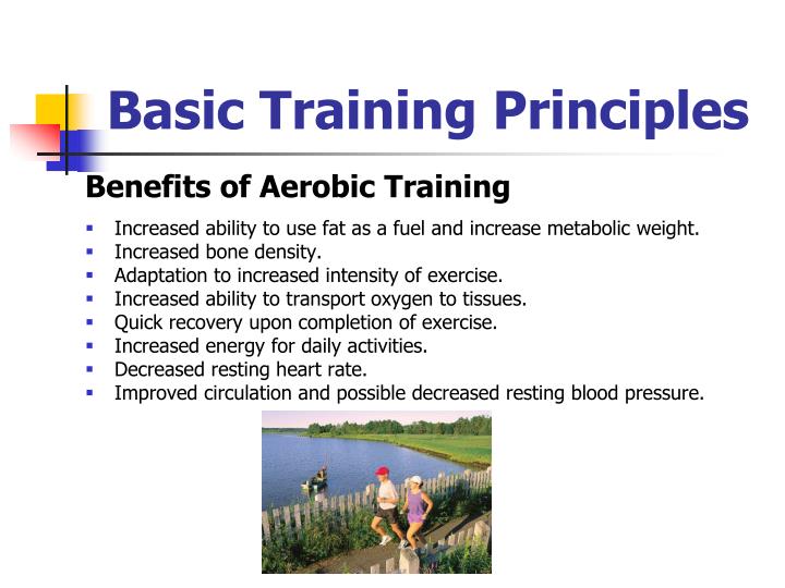 what are the basic principles of exercise what are the basic principles of exercise