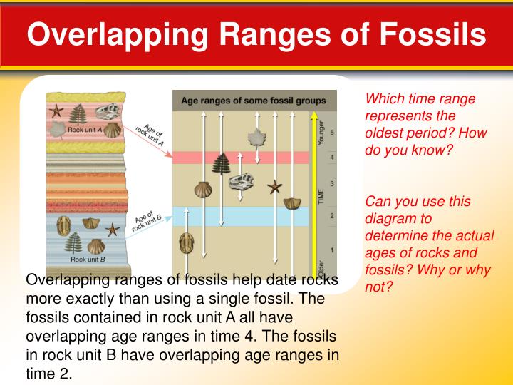 PPT 12.2 Fossils Evidence of Past Life PowerPoint Presentation ID