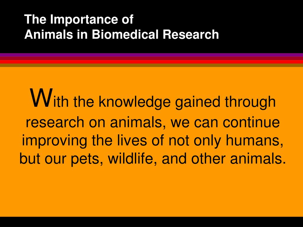the advantages and importance of animal testing Advantages of animal testing in foremost advantages of animals testing is that it allows from animal experiments have delayed important. the advantages and importance of animal testing Advantages of animal testing in foremost advantages of animals testing is that it allows from animal experiments have delayed important.