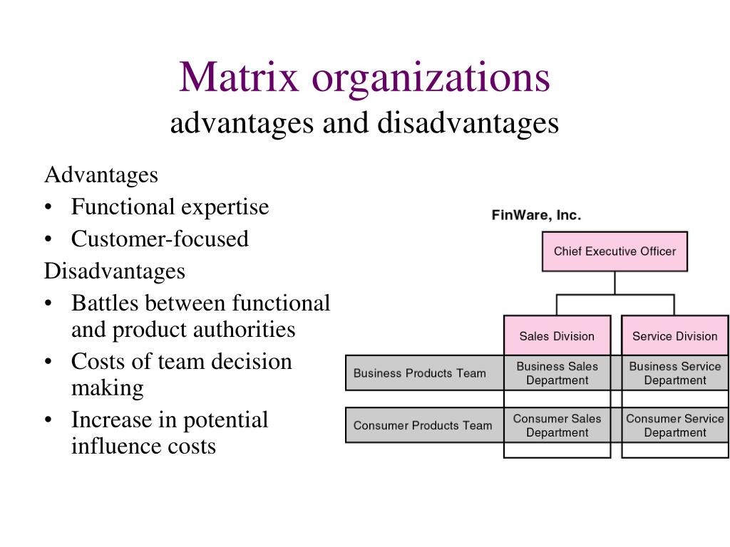 Advantages And Disadvantages Of Profit Maximization Pdf Advantages And Disadvantages Of Profit Maximization Pdf