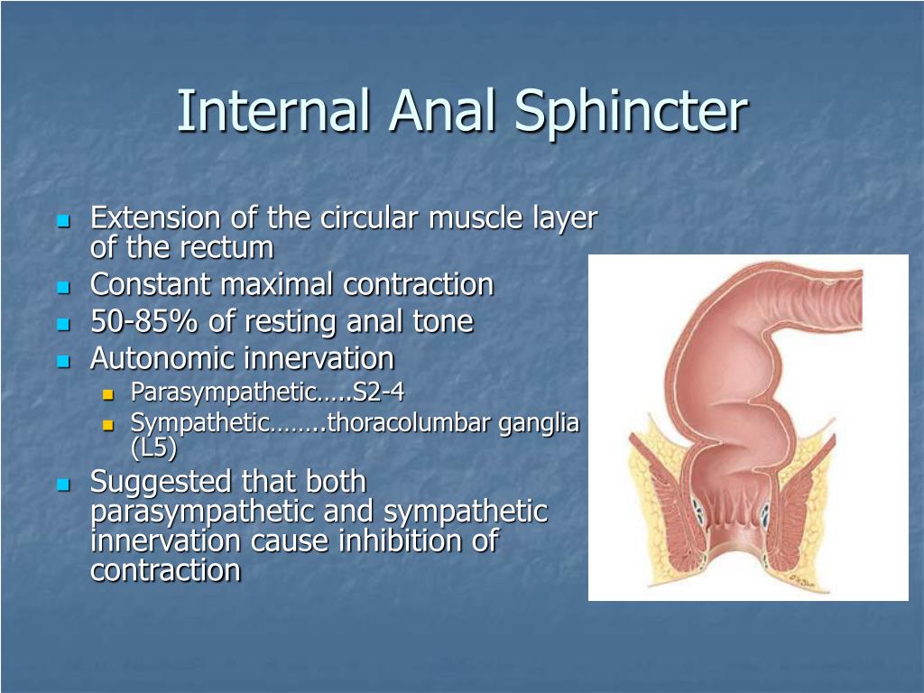 Internal Anal 53