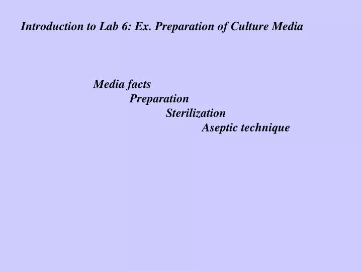 reflective essay introduction thesis reflective essay introduction thesis