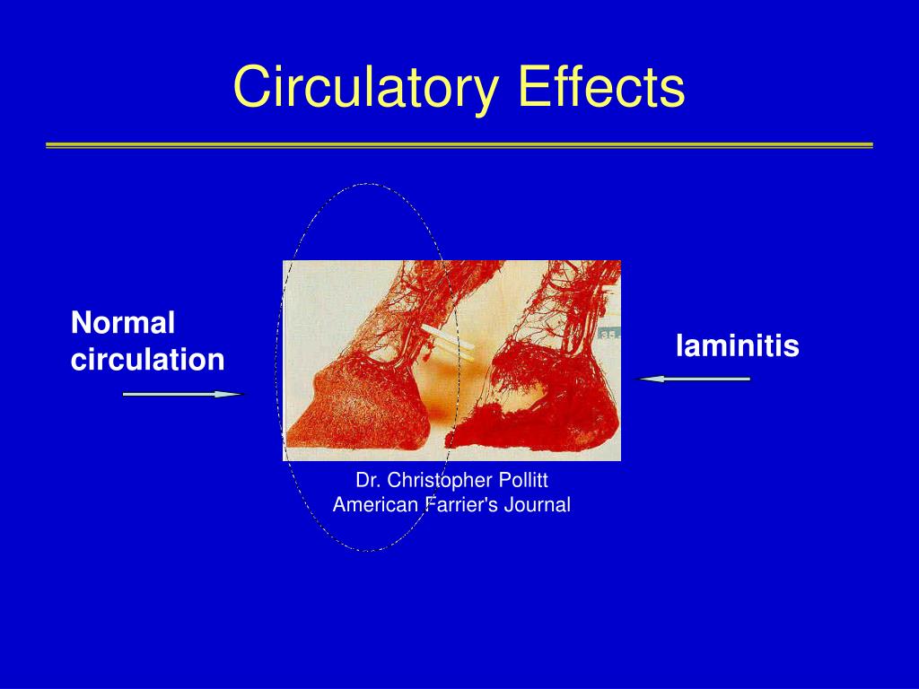 download regenerative medicine