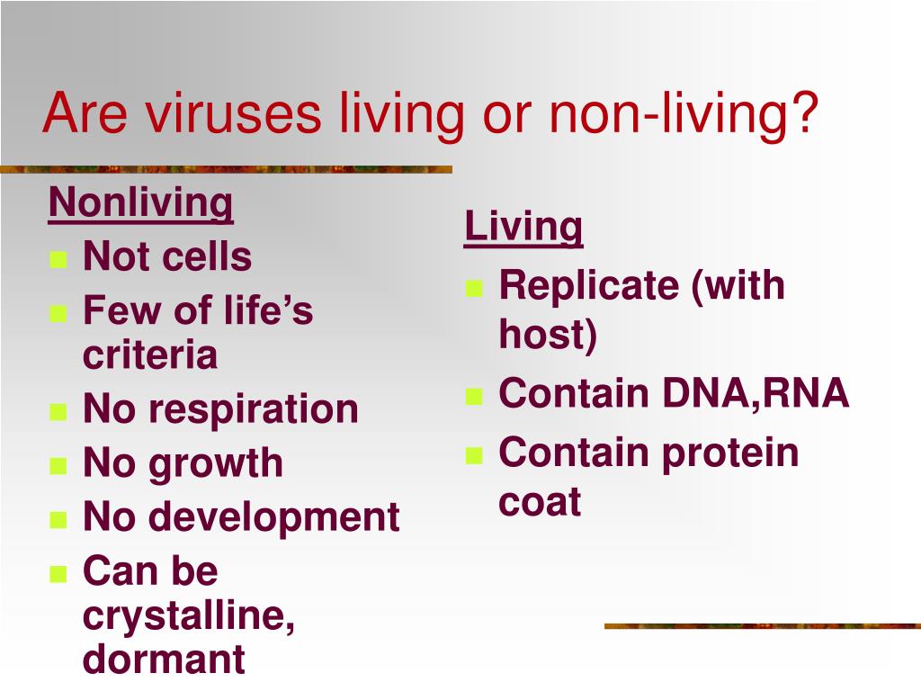 download protein phosphorylation in parasites novel