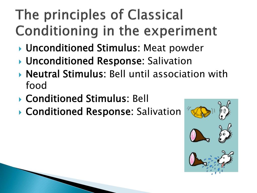 Classical Conditioning Principles