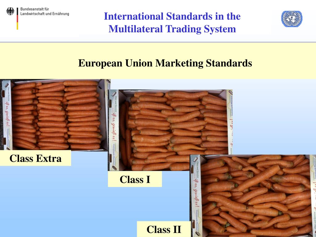 define multilateral trade system