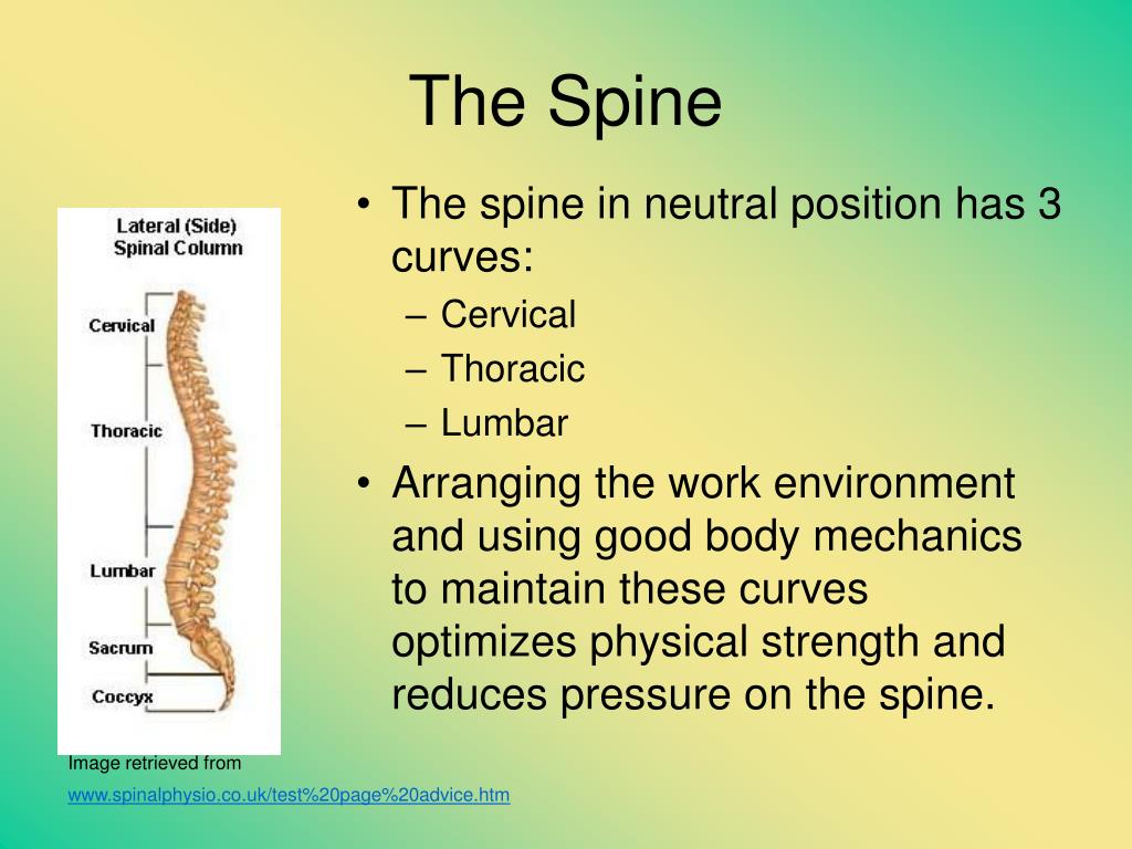 prevention of workplace musculoskeletal disorders Abstract : many construction work tasks are physically very strenuous, and the incidence of work-related muscu- loskeletal disorders (wmsds) among. prevention of workplace musculoskeletal disorders Abstract : many construction work tasks are physically very strenuous, and the incidence of work-related muscu- loskeletal disorders (wmsds) among.