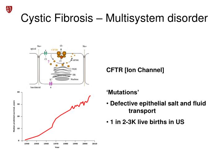 PPT Pulmonary Function Testing in Cystic Fibrosis PowerPoint