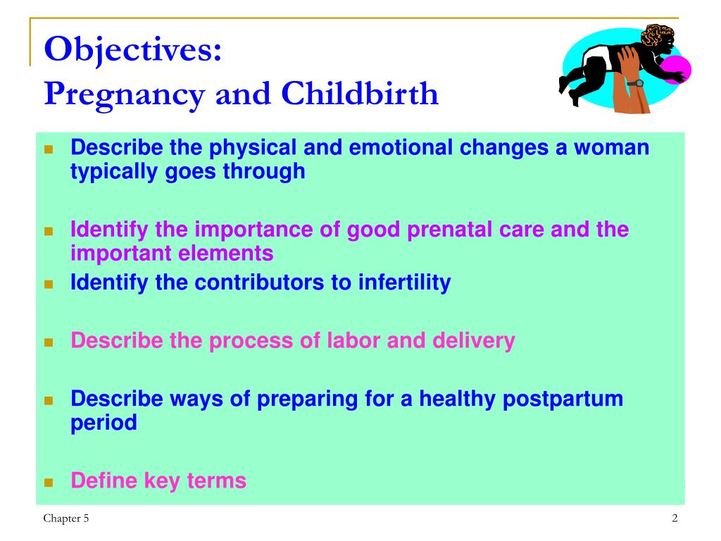Ppt Pregnancy And Childbirth Powerpoint Presentation Id212767