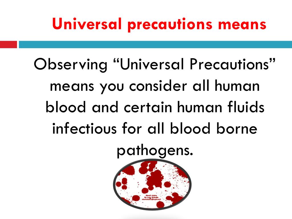 PPT Universal Health Care Precautions PowerPoint Presentation ID219528