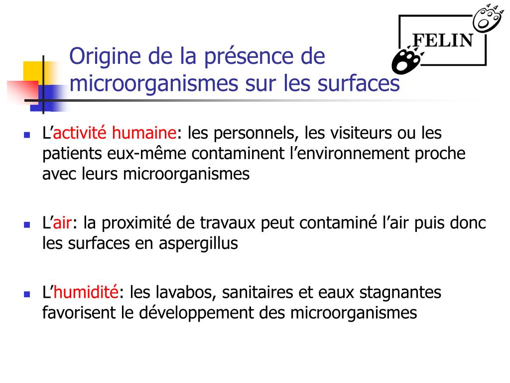 Comme par la femme enceinte se délivrera des parasites