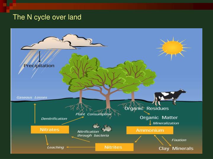 Ppt - Ocean Biogeochemical Dynamics Powerpoint Presentation - Id:223246