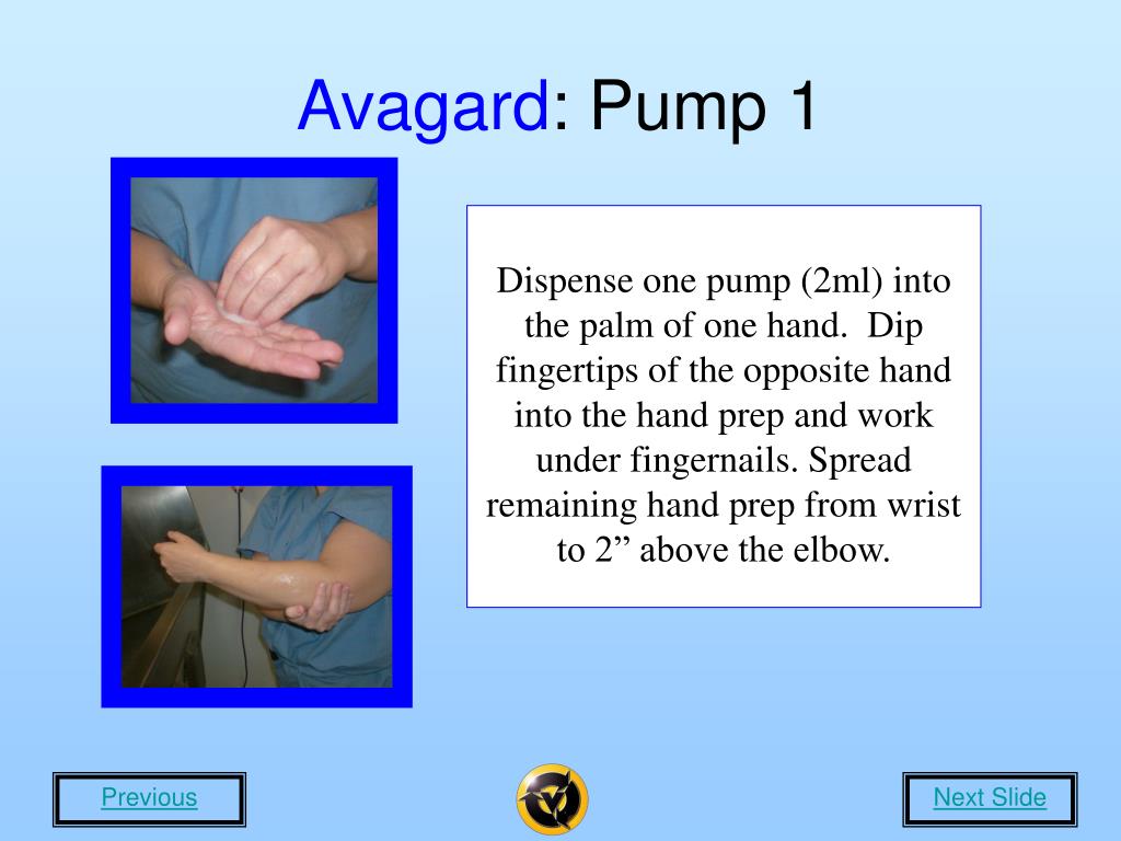 PPT Surgical Hand Scrub Updates PowerPoint Presentation ID223917