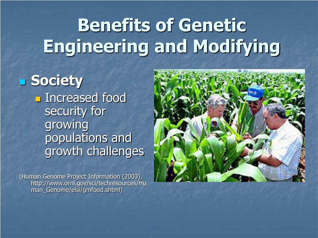 Human Genetic Engineering The Benefits Of Human