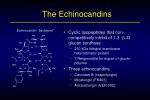 PPT - Lipid Amphotericin B Formulations And The Echinocandins ...