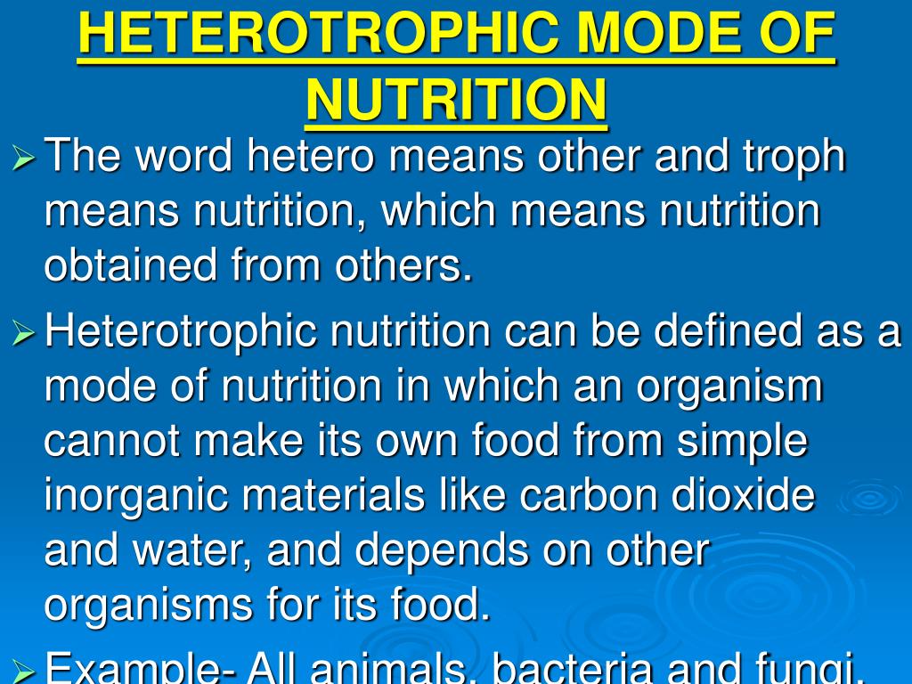 ppt-nutrition-and-respiration-powerpoint-presentation-id-235271