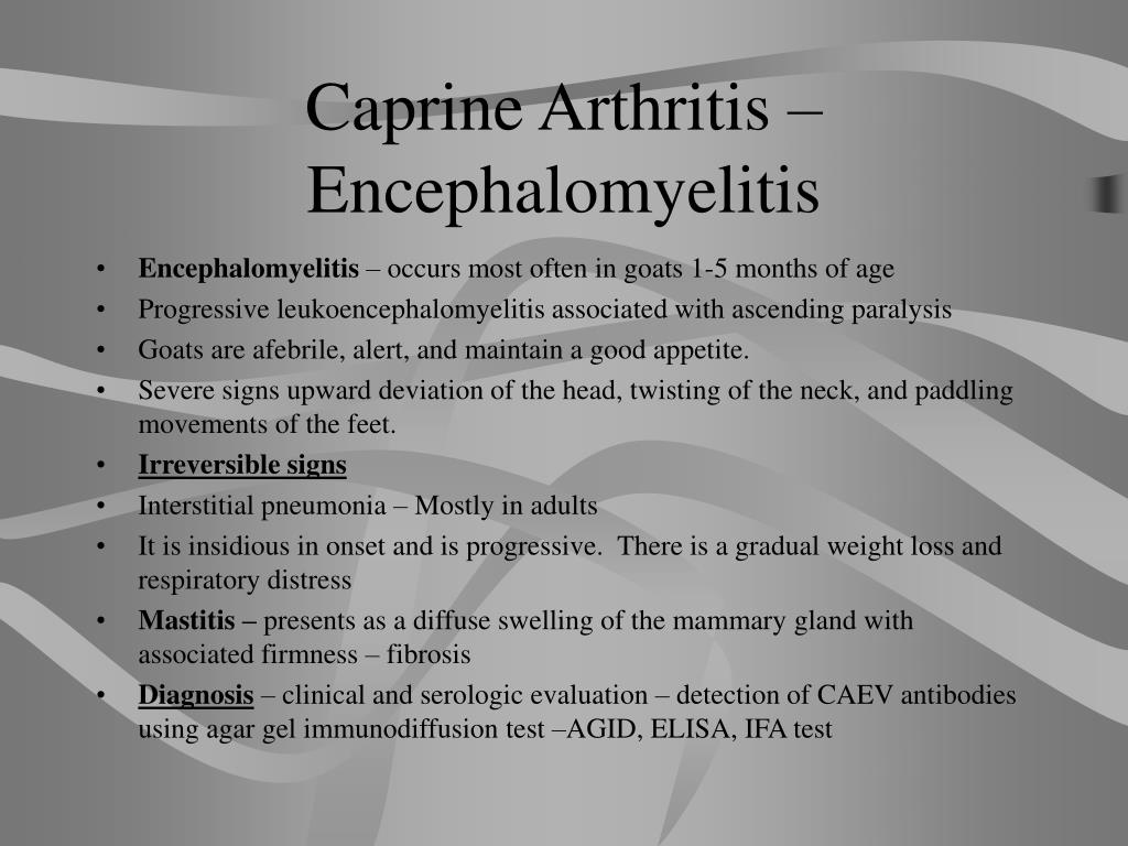 silver nanoparticles caprine arthritic encephalitis silver nanoparticles caprine arthritic encephalitis