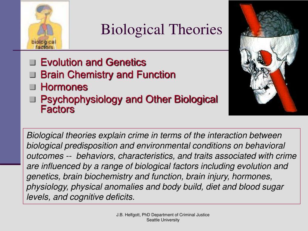 what is biological perspective in psychology example