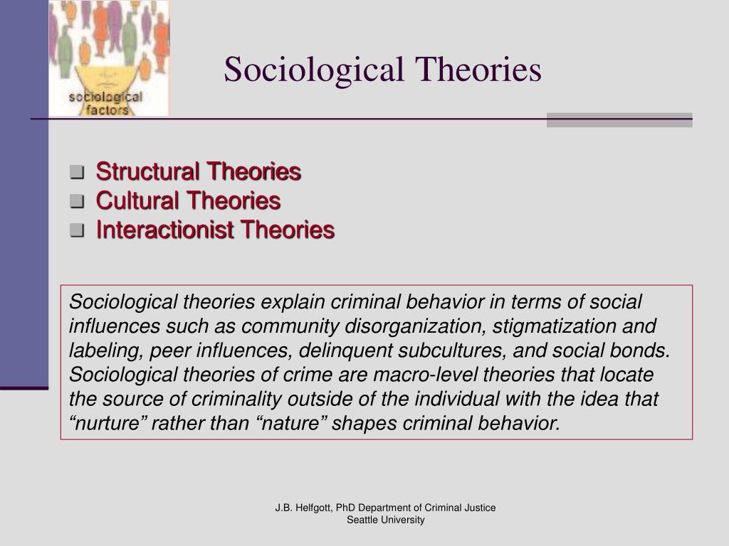 sociological theories