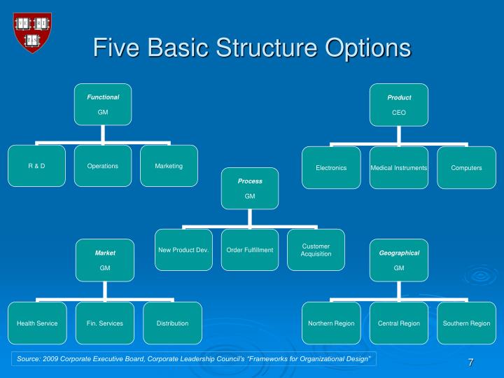 Basic options strategies pdf