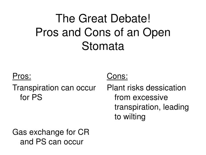 the great debate the pros and That was clear in a citywide debate involving elementary elementary students take on one of the great tech debates all to argue the pros and. the great debate the pros and That was clear in a citywide debate involving elementary elementary students take on one of the great tech debates all to argue the pros and.