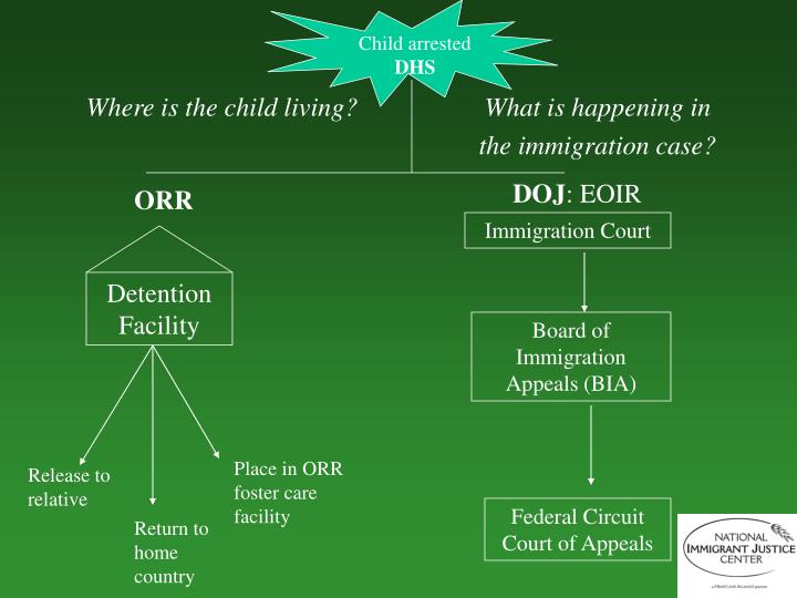 eoir case status