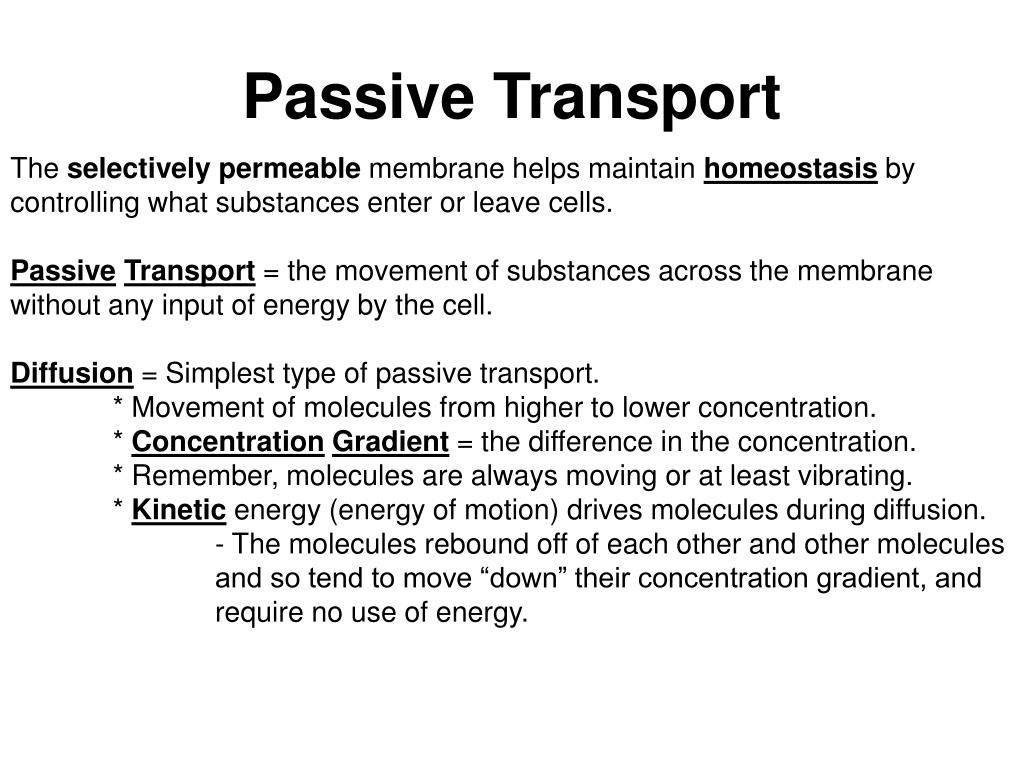 PPT - Chapter Five Homeostasis and Transport 5.1 Passive ...
Example Of Passive Transport
