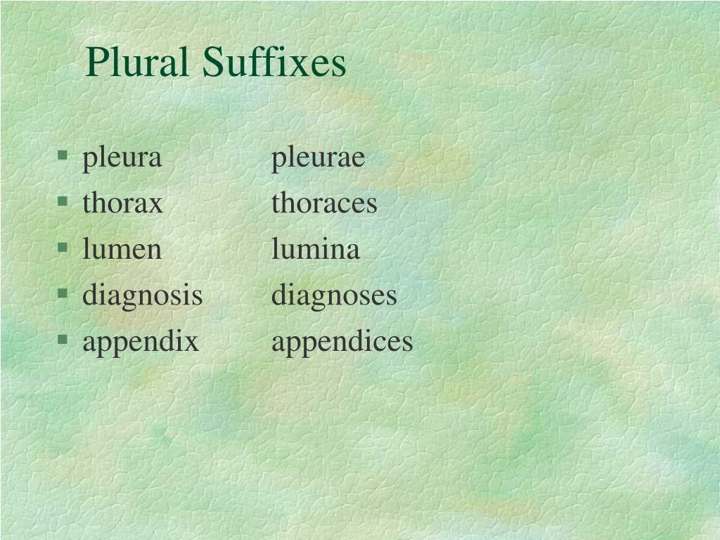 PPT Suffixes Adjective Noun Diminutive Singular Plural 