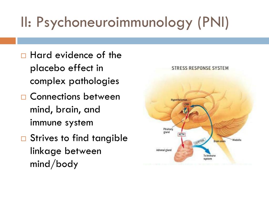 PPT - The Placebo Effect PowerPoint Presentation - ID:26560