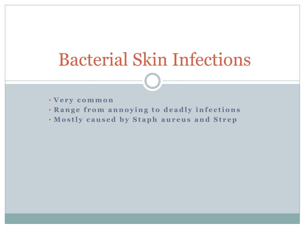 skin bacterial #11