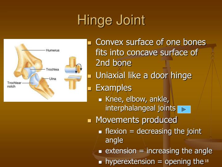 PPT - Chapter 9 Joints PowerPoint Presentation - ID:266616