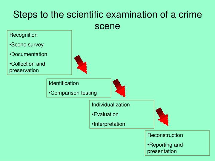 examination and documentation of the crime Case study: theft and murder unraveled by forensic the physical examination of blood at the crime scene in the present case revealed the entire story of the. examination and documentation of the crime Case study: theft and murder unraveled by forensic the physical examination of blood at the crime scene in the present case revealed the entire story of the.
