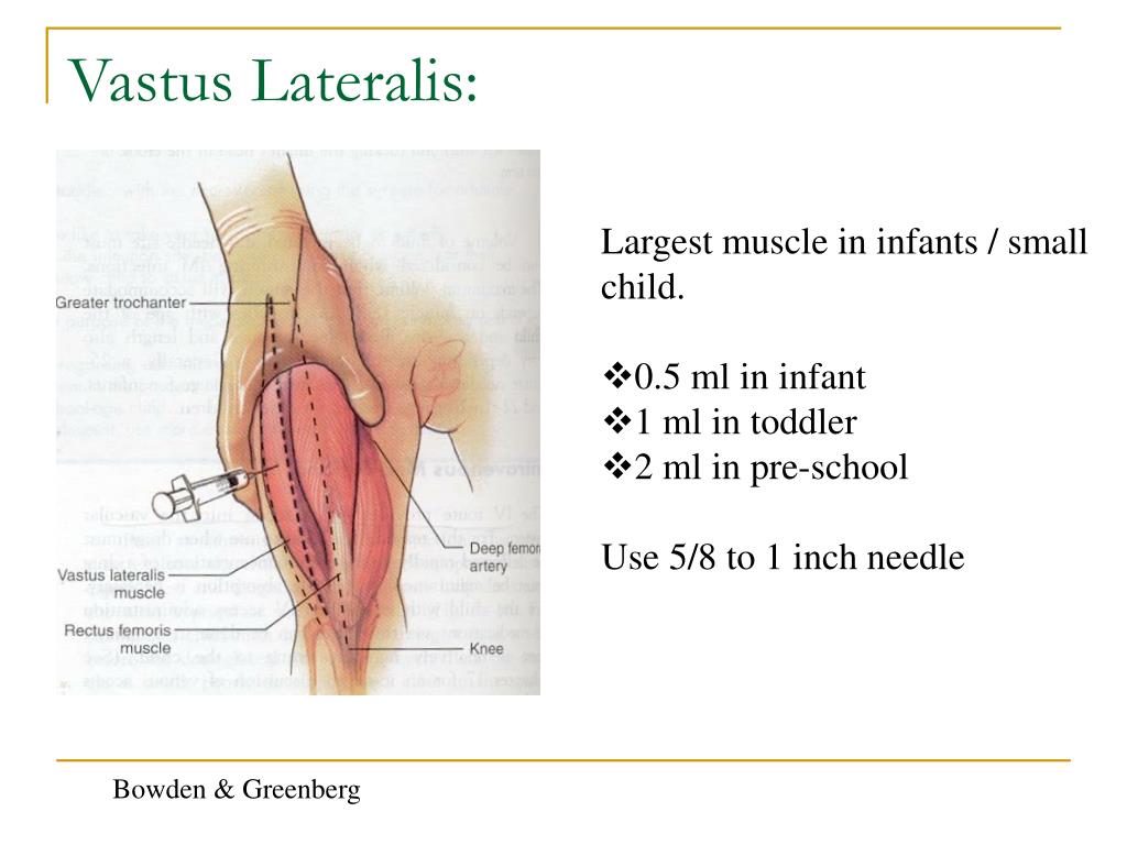 vastus lateralis injection site