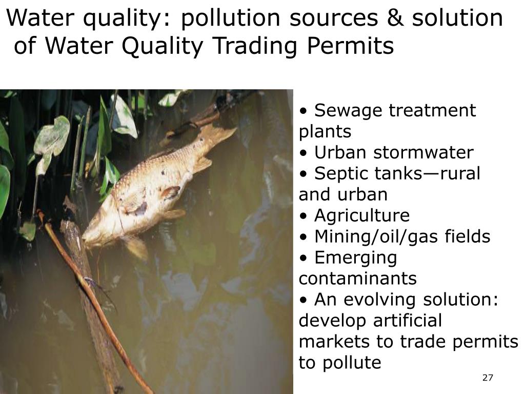 Pollution permit trading system